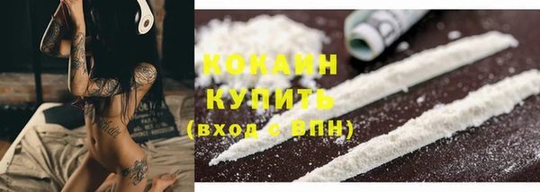 spice Елизово