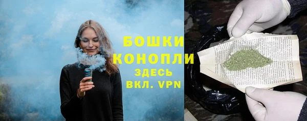 стаф Ельня