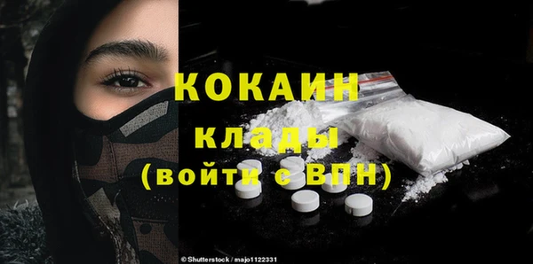 стаф Ельня