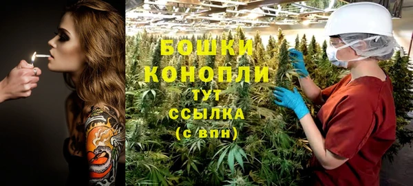 стаф Ельня