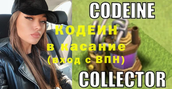 стаф Ельня