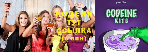 стаф Ельня